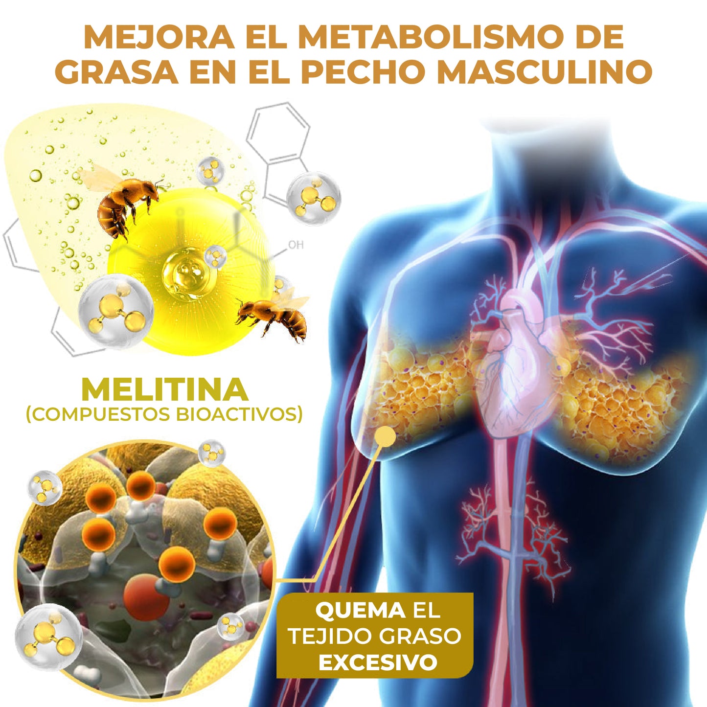 👨⚕️ ACEITE DE CALEFACCIÓN PARA GINECOMASTIA 💥
